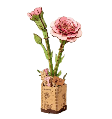 Pink Carnation