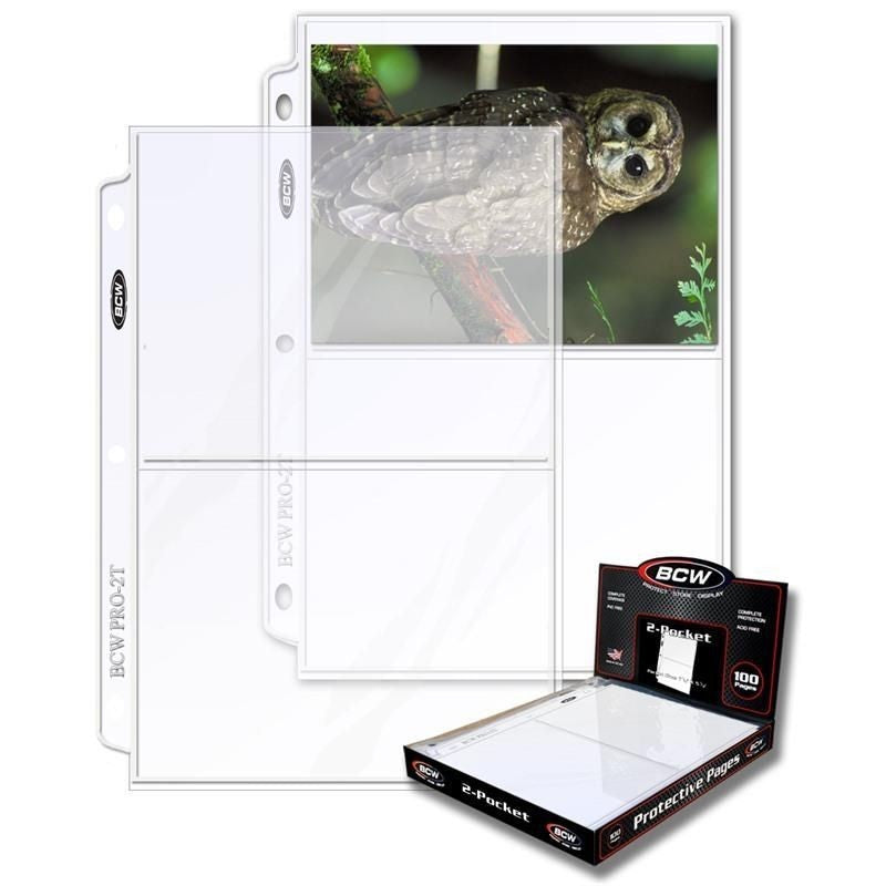 PRO 2-POCKET PHOTO PAGE (100 CT. BOX)